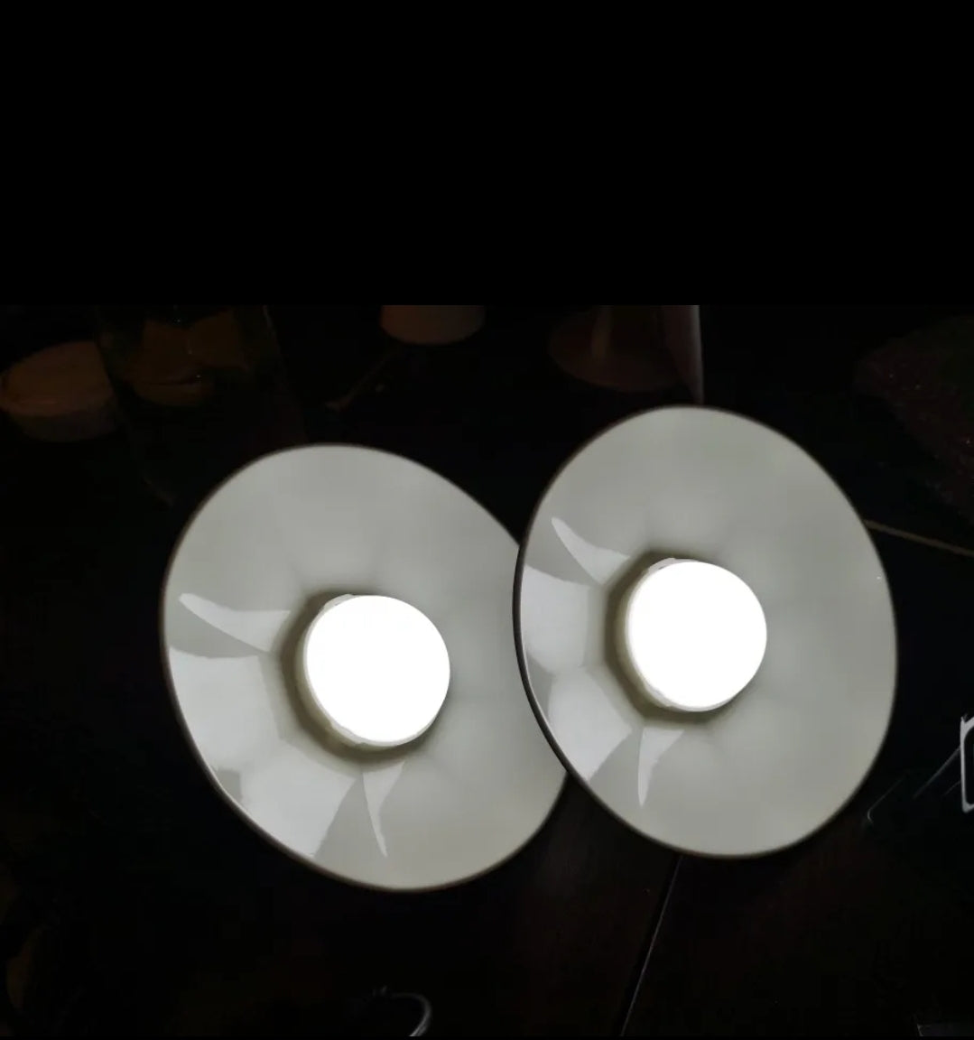 Lampada solare da esterno per interni IP65 luce a LED impermeabile con telecomando